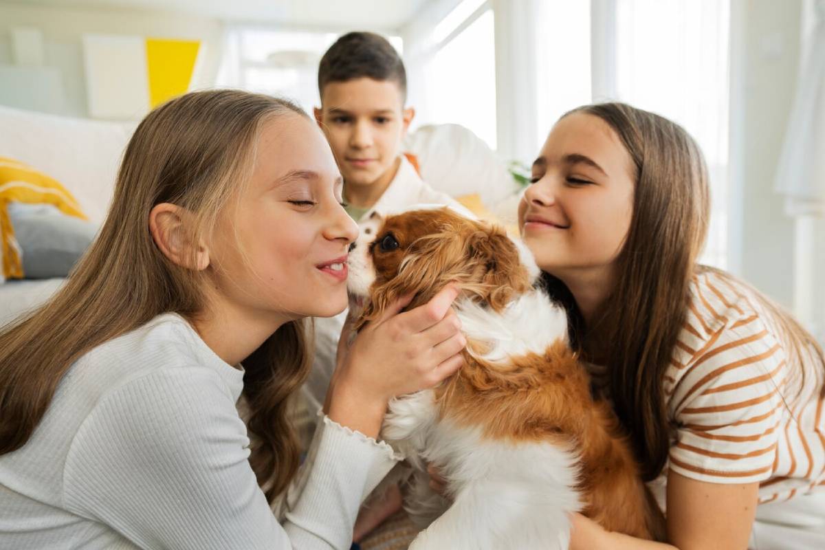  Two young women are joyfully interacting with a fluffy dog in a bright, cozy indoor setting. Soft sunlight filters through large windows.