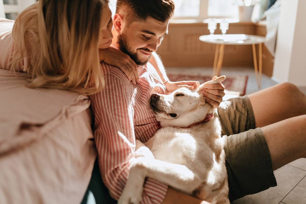 A couple sits on a couch, cuddling with a happy, relaxed dog in their laps, surrounded by warm natural light and cozy decor.
