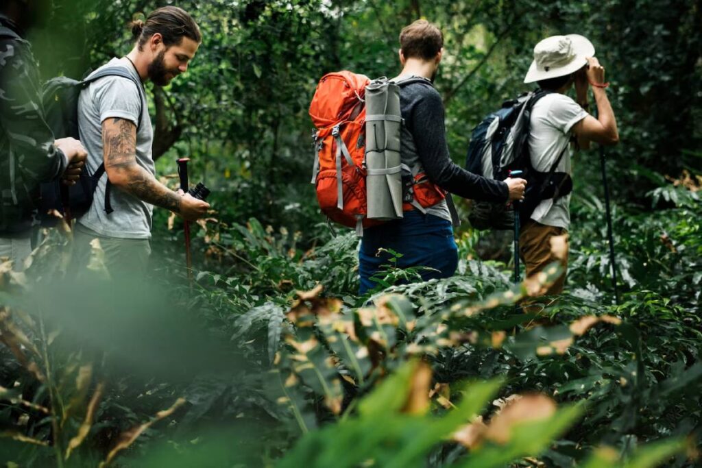 Four hikers in a lush green forest, equipped with backpacks and trekking poles, navigating through dense foliage.