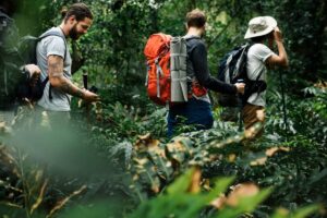 Four hikers in a lush green forest, equipped with backpacks and trekking poles, navigating through dense foliage.