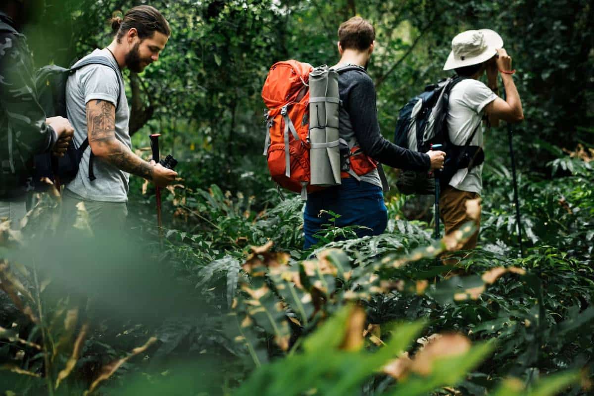 Four hikers in a lush green forest, equipped with backpacks and trekking poles, navigating through dense foliage.